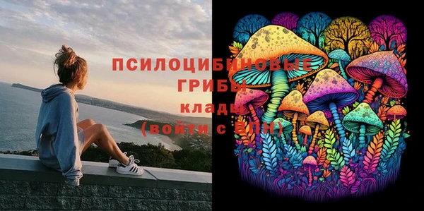 хмурый Заводоуковск