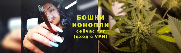 хмурый Заводоуковск