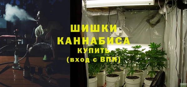 хмурый Заводоуковск