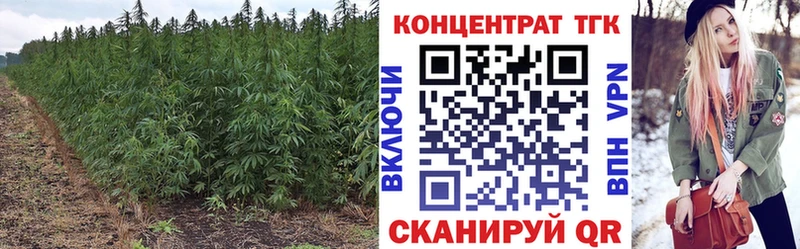 Дистиллят ТГК жижа  Купить где  Борзя 